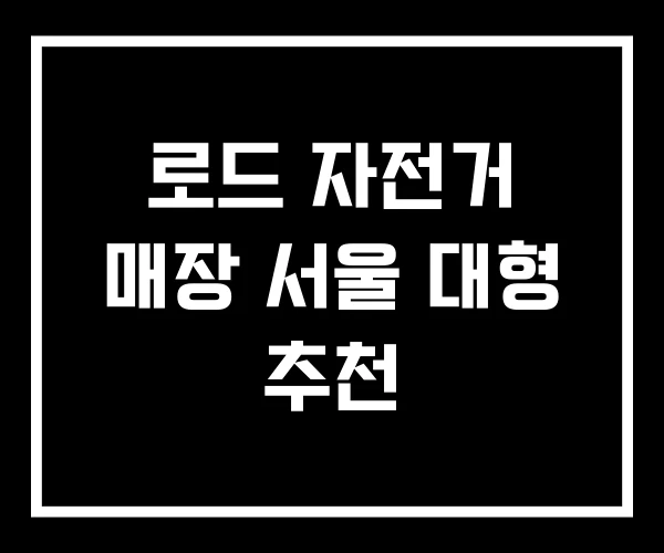 로드 자전거 매장 서울 대형 추천