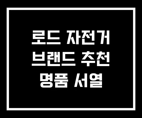 로드 자전거 브랜드 추천 명품 서열 로드 자전거 브랜드 추천 명품 서열
