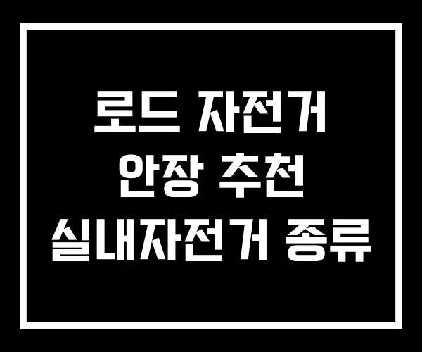 로드 자전거 안장 추천 실내자전거 종류