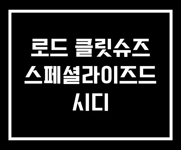 로드 클릿슈즈 스페셜라이즈드 시디