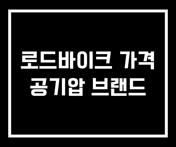 로드바이크 가격 공기압 브랜드