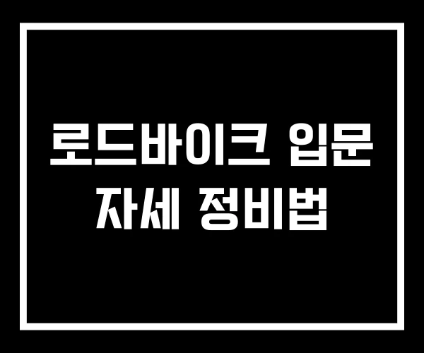 로드바이크 입문 자세 정비법