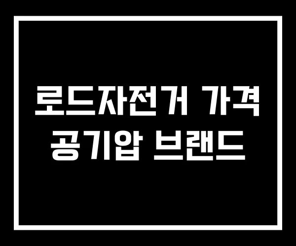 로드자전거 가격 공기압 브랜드