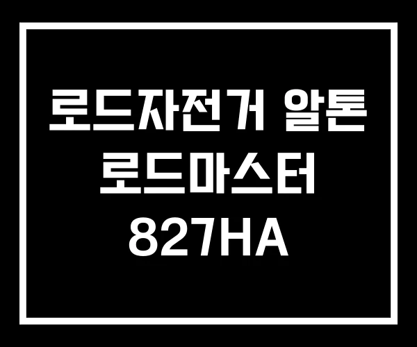 로드자전거 알톤 로드마스터 827HA