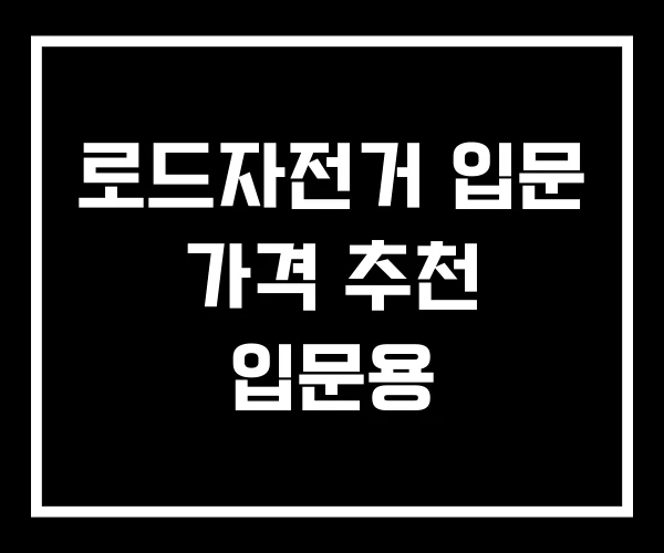 로드자전거 입문 가격 추천 입문용