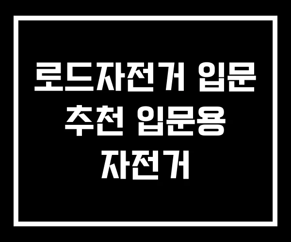 로드자전거 입문 추천 입문용 자전거