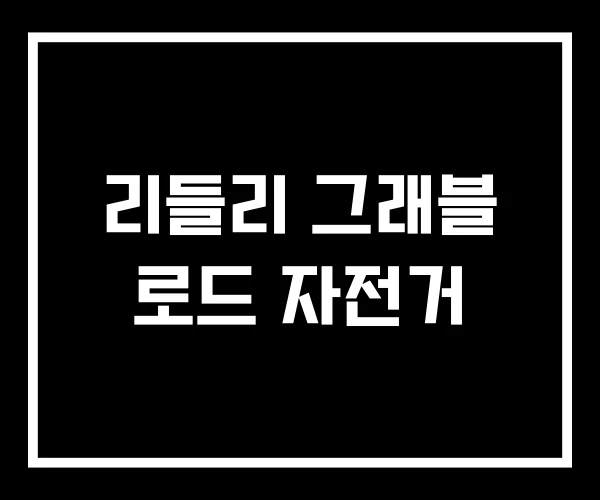 리들리 그래블 로드 자전거