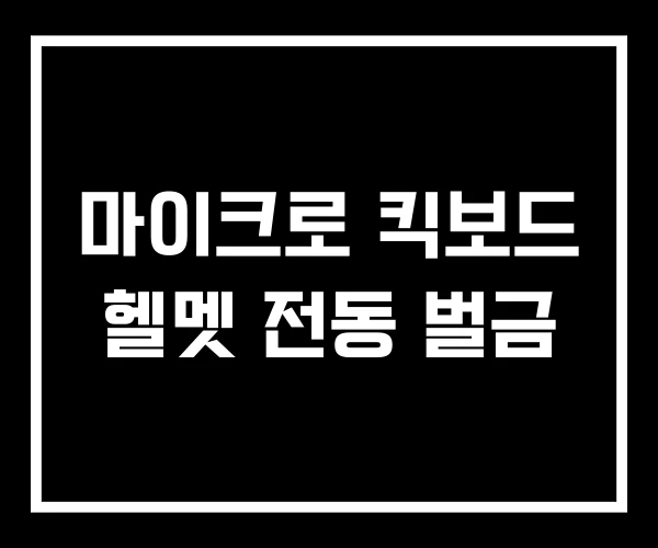 마이크로 킥보드 헬멧 전동 벌금