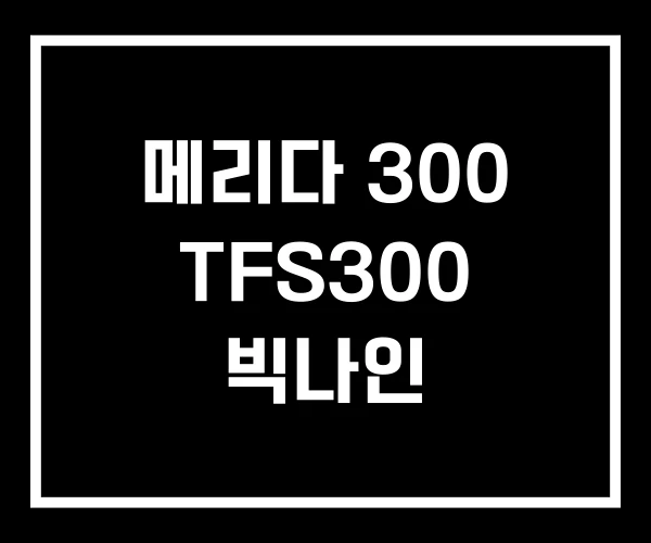 메리다 300 TFS300 빅나인