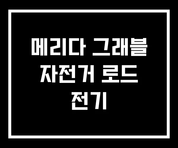 메리다 그래블 자전거 로드 전기
