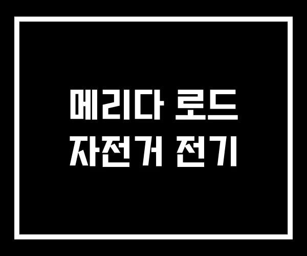 메리다 로드 자전거 전기