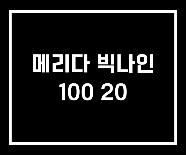 메리다 빅나인 100 20