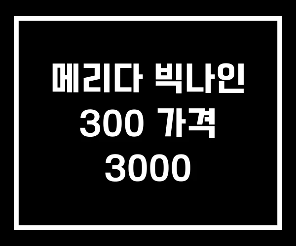 메리다 빅나인 300 가격 3000