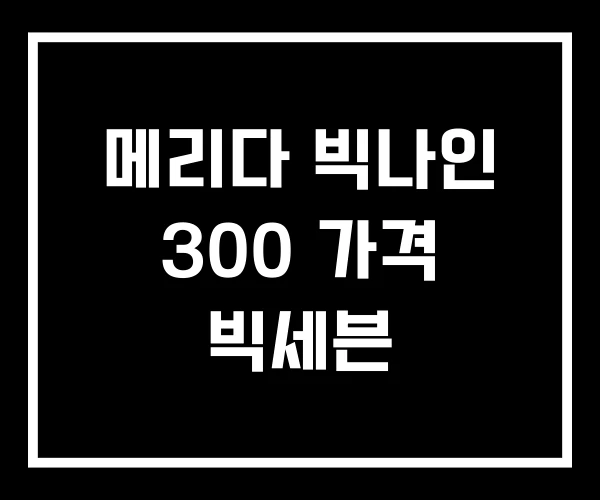 메리다 빅나인 300 가격 빅세븐