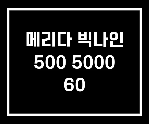 메리다 빅나인 500 5000 60