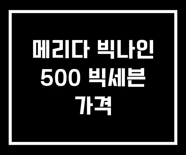 메리다 빅나인 500 빅세븐 가격