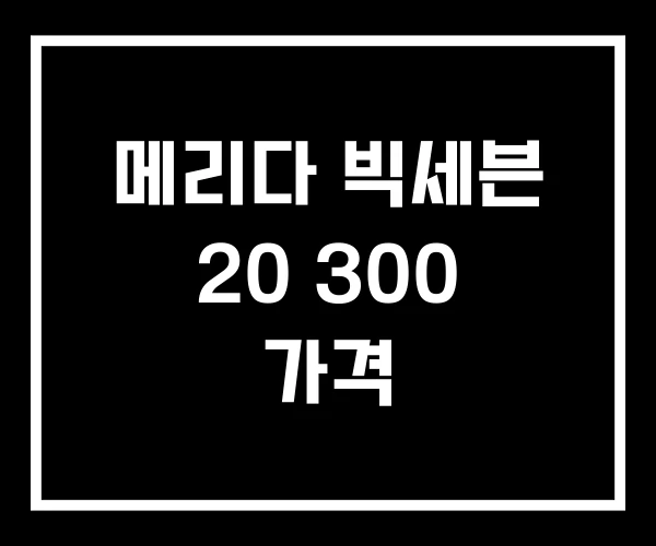 메리다 빅세븐 20 300 가격