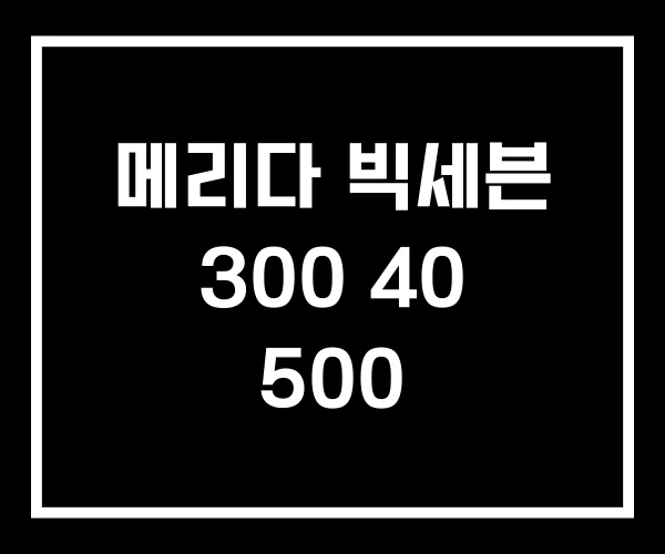 메리다 빅세븐 300 40 500