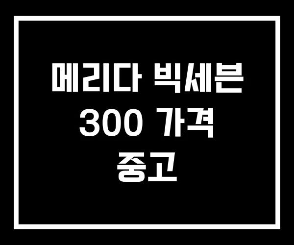 메리다 빅세븐 300 가격 중고