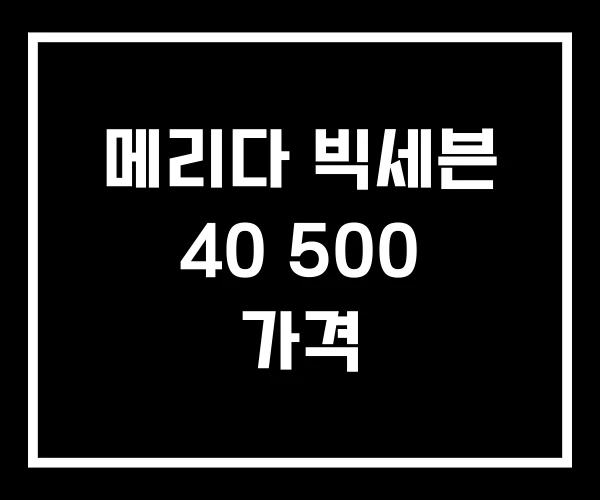 메리다 빅세븐 40 500 가격