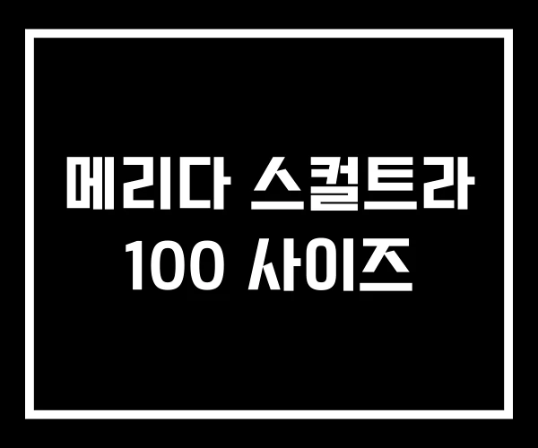 메리다 스컬트라 100 사이즈