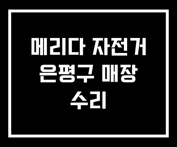 메리다 자전거 은평구 매장 수리