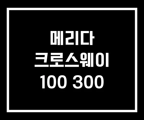 메리다 크로스웨이 100 300
