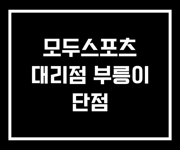 모두스포츠 대리점 부릉이 단점