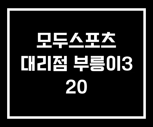 모두스포츠 대리점 부릉이3 20