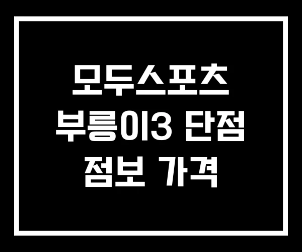 모두스포츠 부릉이3 단점 점보 가격