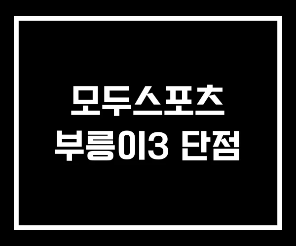 모두스포츠 부릉이3 단점