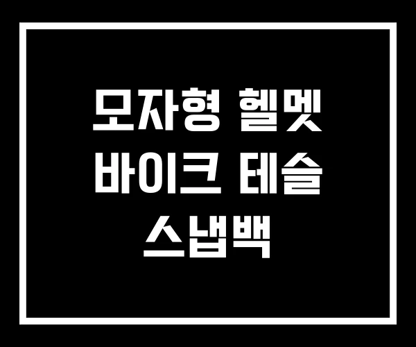 모자형 헬멧 바이크 테슬 스냅백