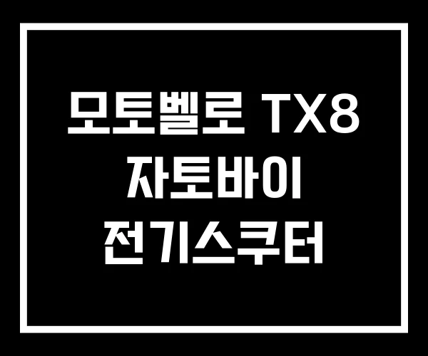 모토벨로 TX8 자토바이 전기스쿠터 모토벨로 TX8 자토바이 전기스쿠터