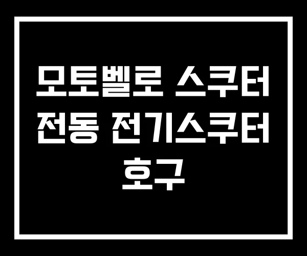 모토벨로 스쿠터 전동 전기스쿠터 호구 모토벨로 스쿠터 전동 전기스쿠터 호구