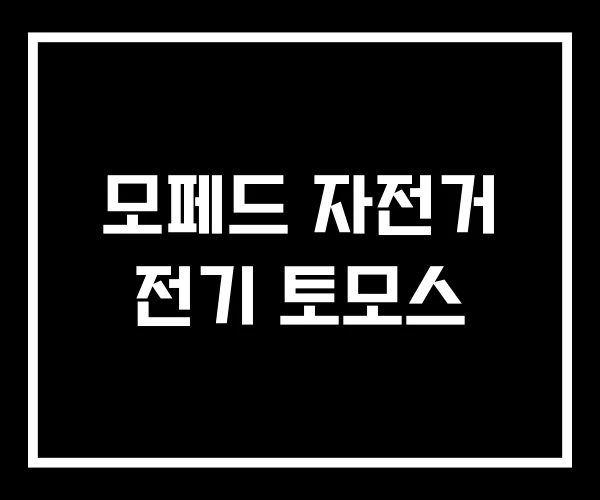 모페드 자전거 전기 토모스 모페드 자전거 전기 토모스