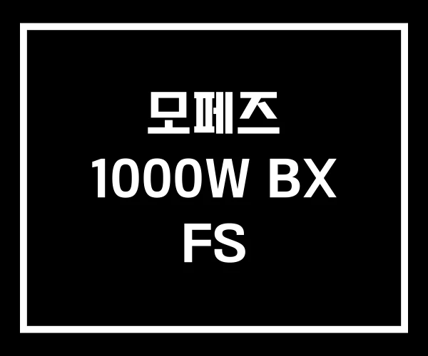 모페즈 1000W BX FS 모페즈 1000W BX FS