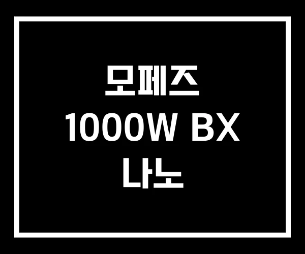 모페즈 1000W BX 나노 모페즈 1000W BX 나노