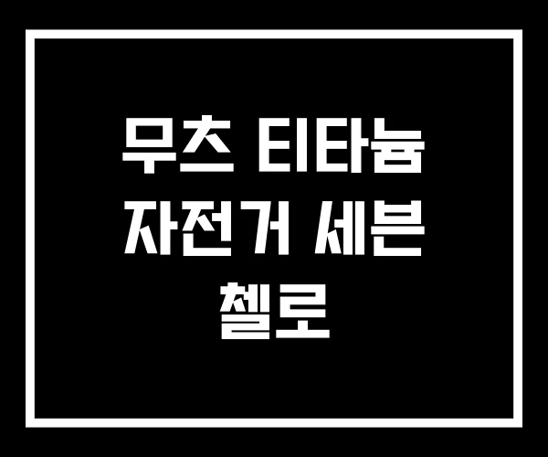 무츠 티타늄 자전거 세븐 첼로 무츠 티타늄 자전거 세븐 첼로