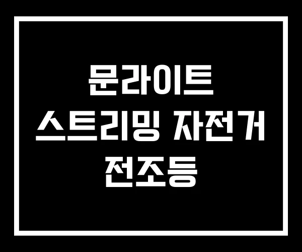 문라이트 스트리밍 자전거 전조등 문라이트 스트리밍 자전거 전조등