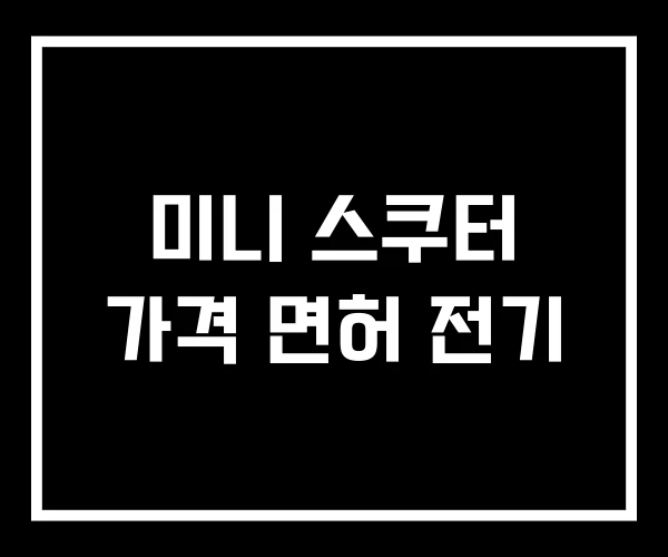미니 스쿠터 가격 면허 전기 미니 스쿠터 가격 면허 전기