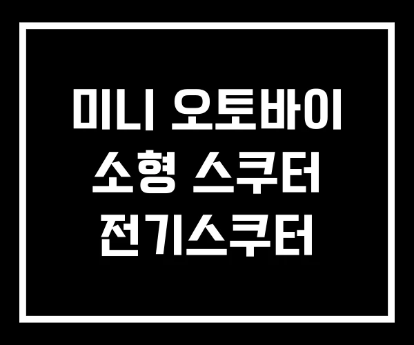 미니 오토바이 소형 스쿠터 전기스쿠터 미니 오토바이 소형 스쿠터 전기스쿠터