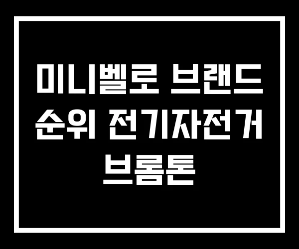 미니벨로 브랜드 순위 전기자전거 브롬톤