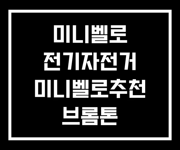 미니벨로 전기자전거 미니벨로추천 브롬톤