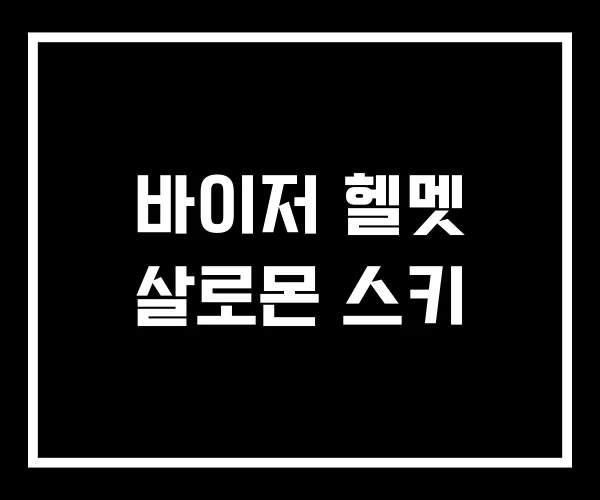 바이저 헬멧 살로몬 스키 바이저 헬멧 살로몬 스키