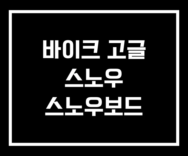 바이크 고글 스노우 스노우보드 바이크 고글 스노우 스노우보드