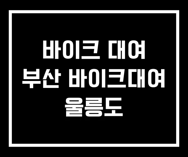 바이크 대여 부산 바이크대여 울릉도