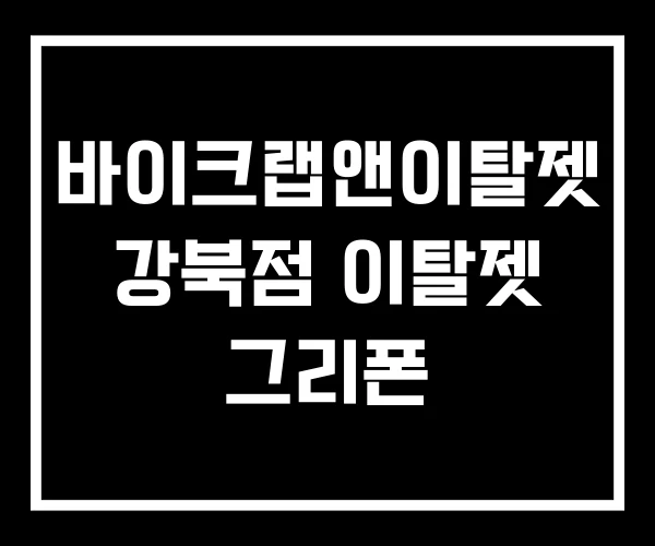 바이크랩앤이탈젯 강북점 이탈젯 그리폰