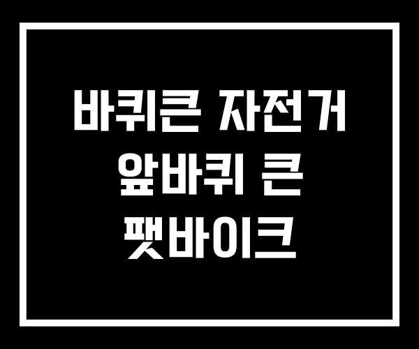 바퀴큰 자전거 앞바퀴 큰 팻바이크 바퀴큰 자전거 앞바퀴 큰 팻바이크