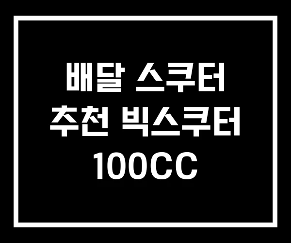 배달 스쿠터 추천 빅스쿠터 100CC 배달 스쿠터 추천 빅스쿠터 100CC