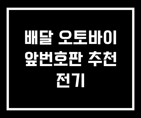 배달 오토바이 앞번호판 추천 전기 배달 오토바이 앞번호판 추천 전기